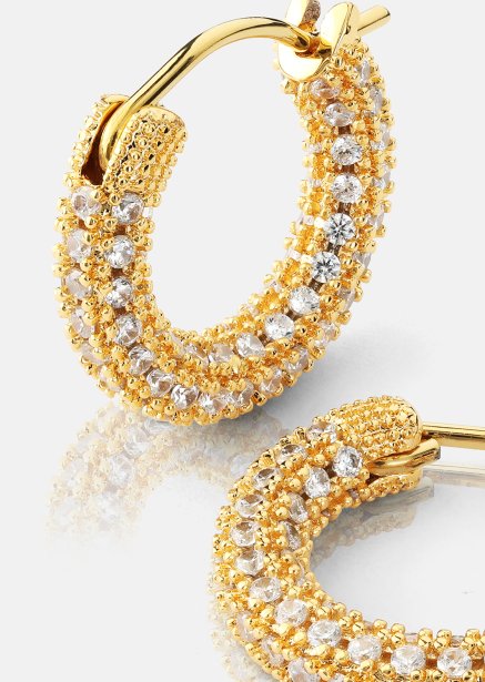 Elegans Oorbel - 18k Verguld