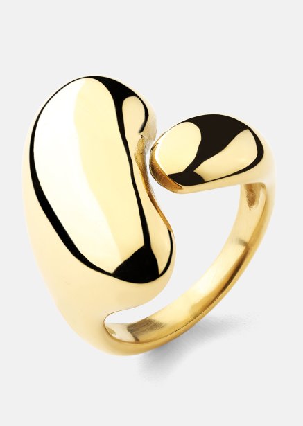 Ring Fluid Power - 18k Verguld