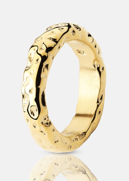 Ring Terra - 18k Verguld