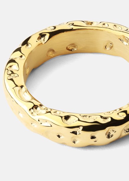 Ring Terra - 18k Verguld