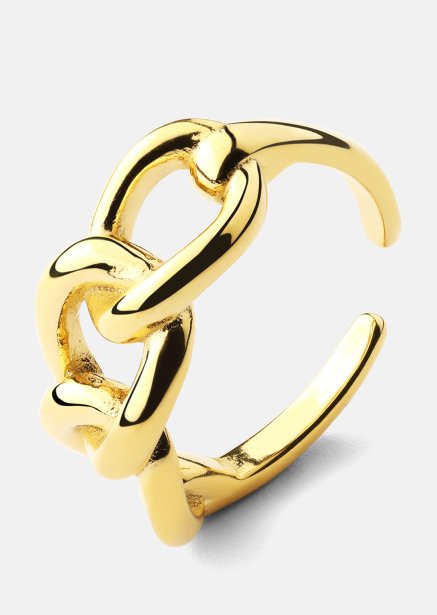 Ring Golden Link - 18K Verguld