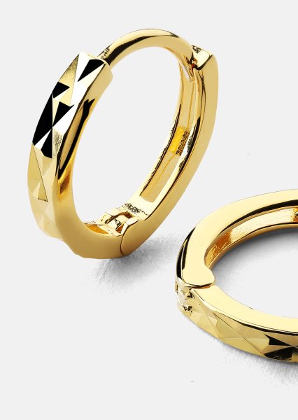 Anni Lu Oorbellen – 18k Verguld