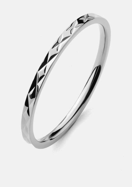 Ring Pulse – Verzilverd