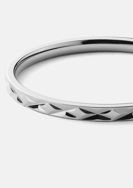 Ring Pulse – Verzilverd